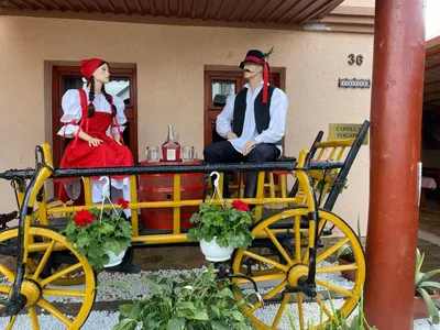 Népviseletes babapár a díszkocsin a fogadó bejáratánál