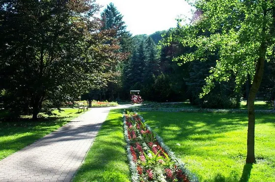 Sétány virágágyással a parkban