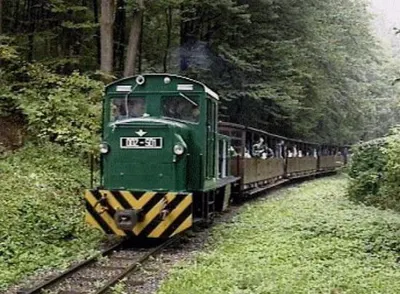 Az erdei kisvasút szerelvénye az erdőben
