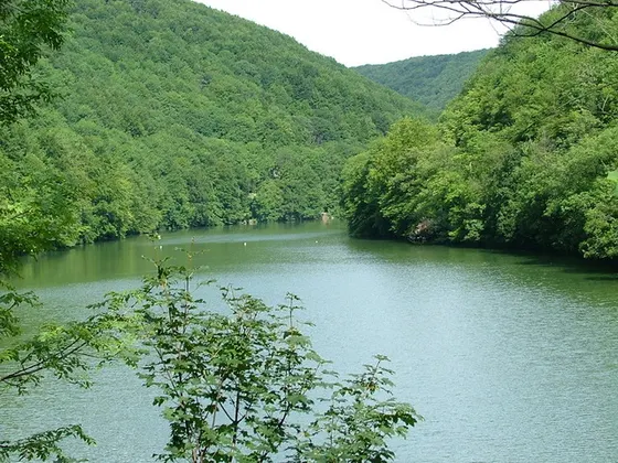 A Hámori-tó