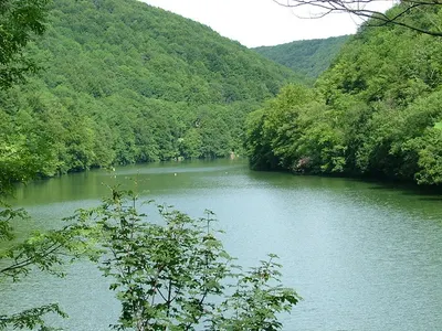 A Hámori-tó